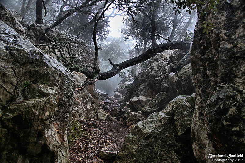 Bernhard Saalfeld - Der Wanderweg